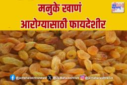 Benefits of Eating Raisins: मनुके खाणं आरोग्यासाठी कसे फायदेशीर