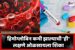 How To Increase Iron Level: सतत थकवा जाणवतोय? शरीरात असू शकते ‘आयर्न’ची कमतरता; ‘हे’ घरगुती उपाय ठरतील रामबाण