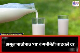 Milk Price Hike: महागाईचा आणखी एक फटका! अमूलपाठोपाठ ‘या’ कंपनीनेही केली दरवाढ