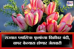 Plastic Flower Ban: सावधान! आता प्लास्टिक फुलांची सजावट पडणार महागात; उत्पादन, विक्रीसह डेकोरेटर्स आणि मंगल कार्यालयांवरही होणार कारवाई