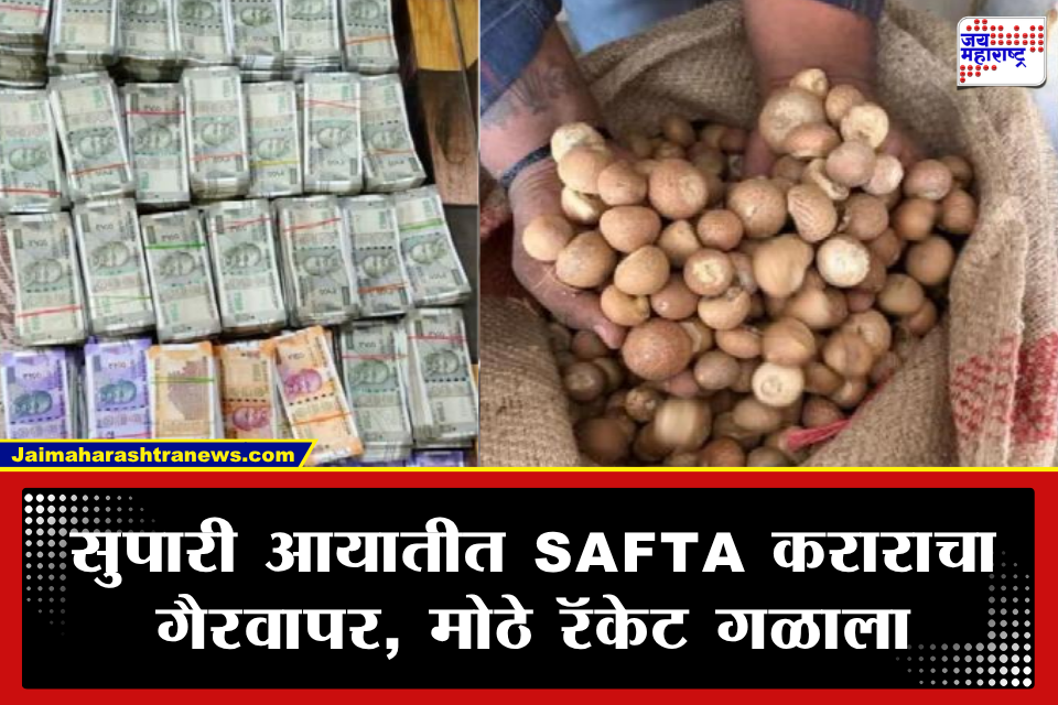 Betel Nut Import Scam: सुपारी आयातीत 2500 कोटींचा कस्टम ड्युटी घोटाळा! DRI कडून मोठ्या रॅकेटचा पर्दाफाश, 9 जणांना बेड्या