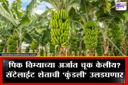 Banana Crop Insurance Scam: बाप रे! चक्क सॅटेलाईटने पकडली चोरी; केळीच्या नावाखाली 217 कोटी लाटण्याचा डाव फसला, काय आहे प्रकरण?
