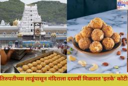 काय सांगता!! तिरुपतीचे लाडू विकून मंदिराला दरवर्षी मिळतात ‘इतके’ कोटी रुपये