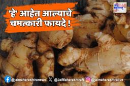 ‘हे’ आहेत आल्याचे चमत्कारी फायदे !