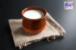 Daily Curd Intake: दही खाल्ल्याने आरोग्यावर काय परिणाम होतो? जाणून घ्या