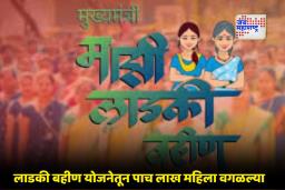 Ladki Bahin Yojana: सरकारी कर्मचारी असूनसुद्धा योजनेचे पैसे घेतले? आता सरकार करणार सगळे पैसे वसूल