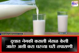 Fake Milk Test : सावधान! तुम्ही पित आहात ते दूध आहे की डिटर्जंट? अशा प्रकारे करा अस्सल दुधाची ओळख