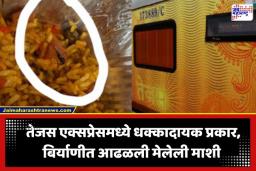 Dead Fly Found In Train Food: तेजस एक्सप्रेसमध्ये किळसवाणा प्रकार; शाकाहारी बिर्याणीत आढळली मेलेली माशी; फोटो पाहून नेटकऱ्यांचा संताप