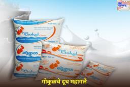 Gokul Milk Price Hike: अमूलनंतर आता गोकुळचे दूधही महागले; काय आहेत नवीन दर?