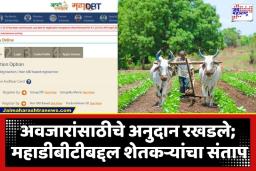 Mahadbt Portal Issue: डिजिटल इंडियाचा बोजवारा? महाडीबीटी पोर्टल ‘हँग’; कृषी यांत्रिकीकरणाचे हजारो अर्ज लालफितीत अडकले