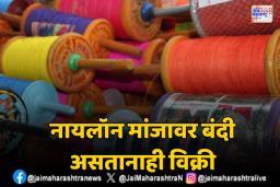 पतंगबाजीत नायलॉन मांजाचे बळी