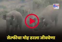Viral Video: सेल्फी काढणं महागात पडलं; रानटी हत्ती तरुणाच्या शरीराशी फुटबॉलसारखा खेळला; नेमकं काय झालं?