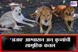 Stray Dogs Died: निवडणुकीतील आश्वासन पाळण्यासाठी तब्बल 500 भटक्या कुत्र्यांना दिलं विष! 5 सरपंचांसह 6 जणांवर गुन्हे दाखल