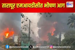 तारापूर एमआयडीसीत भीषण आग