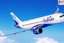 InterGlobe Aviation Limited Tax Penalty: इंडिगोची मूळ कंपनी इंटरग्लोब एव्हिएशन लिमिटेडला आयकर विभागाने ठोठावला 944.20 कोटी रुपयांचा दंड