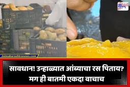 Contaminated Mangoes: सावधान! ज्यूस सेंटरमध्ये आढळले 2000 किलो सडलेले अन् अळ्या असलेले आंबे; पाहा व्हिडीओ