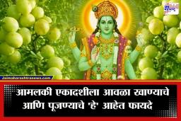 Amalaki Ekadashi 2026: आरोग्याचं ‘अमृत’ अन् भक्तीचा संगम; आमलकी एकादशीला आवळ्याची पूजा का करतात? वाचा