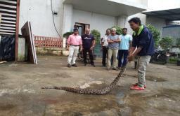आरे कॉलनीत मेट्रोचं काम सूरू असताना आढळला 6 फूट लांबीचा अजगर