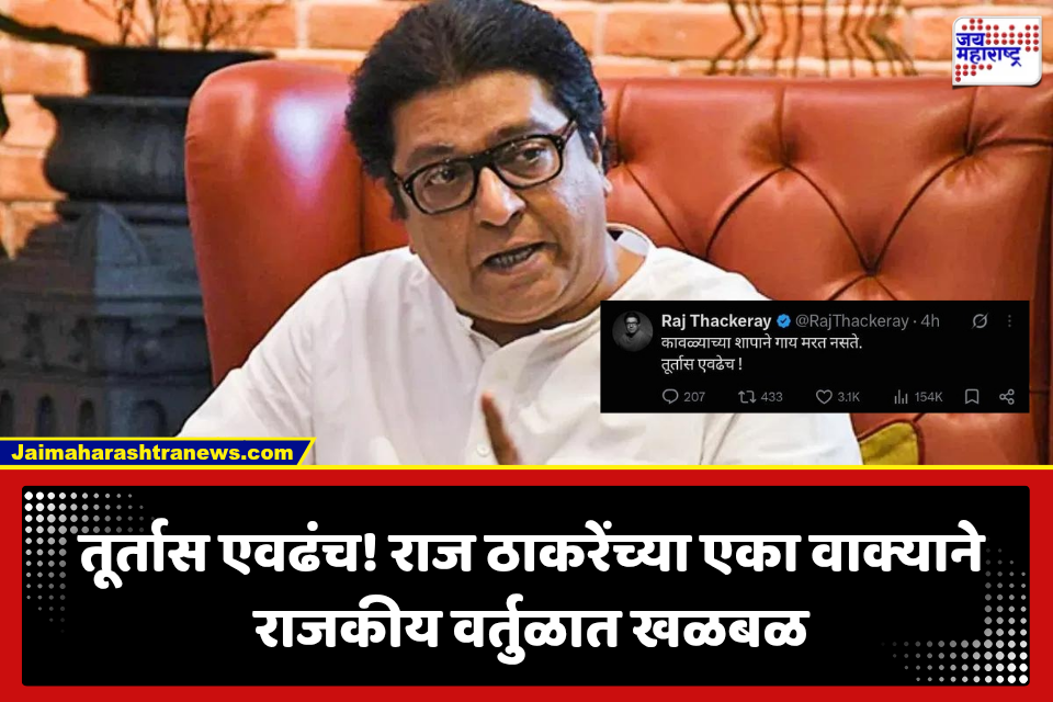 Raj Thackeray: ‘कावळ्याच्या शापाने गाय मरत नसते…’ राज ठाकरेंची सूचक पोस्ट चर्चेत, नेमका कुणाला टोला?