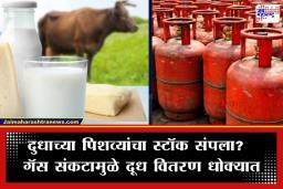 Dairy Industry Crisis: आखाती युद्धाचा आता दुधावरही परिणाम, पुढच्या 10 दिवसांत दूध पुरवठा बंद होणार?