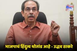Uddhav Thackeray On BJP: ‘भाजपच्या प्रचारात सत्तेचा माज दिसतोय…’; उद्धव ठाकरेंचा महायुती सरकारवर जोरदार निशाणा