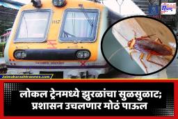 Mumbai Local: झुरळांच्या समस्येवर रेल्वे प्रशासनाची धावपळ; मुंबई लोकलमध्ये राबवण्यात येणार विशेष स्वच्छता मोहीम