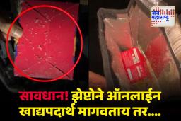 झेप्टोनं मागवलेल्या आईस्क्रीममध्ये सापडल्या अळ्या; नालासोपाऱ्यातील धक्कादायक प्रकार समोर