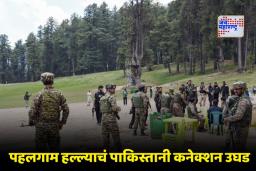 Pahalgam Terror Attack : NIA ची मोठी कारवाई; पहलगाम दहशतवादी हल्लाप्रकरणी आरोपपत्र दाखल
