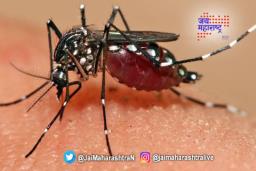 पुण्यात झिकाचे रूग्णसंख्या वाढली