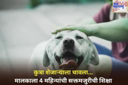 पाळीव कुत्रा शेजाऱ्याला चावला; न्यायालयाने मालकाला सुनावली 4 महिन्यांची सक्तमजुरीची शिक्षा