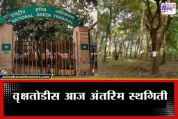 Nashik Tree Cutting: ‘एकाही झाडाला हात लावायचा नाही…’ नाशिक प्रशासनाला राष्ट्रीय हरित लवादाचा दणका
