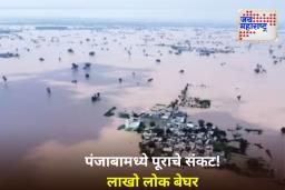 Punjab Flood: पठाणकोटमध्ये डोंगर कोसळला! लुधियानामध्ये लष्कर तैनात; पूरात आतापर्यंत 43 जणांचा मृत्यू