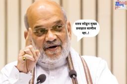 शस्त्र सोडून मुख्य प्रवाहात सामील व्हा..! अमित शहांचे नक्षलवाद्यांना आवाहन