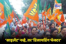 Bihar Assembly Election 2025 : महिला ठरल्या ‘किंगमेकर!’; ज्यांना मतदान करतील तेच स्थापन करतायेत सत्ता, बिहार निवडणुकीतही तेच चित्र