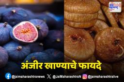 अंजीर खाण्याचे आरोग्यदायी फायदे