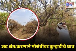 बागा सुकल्या, डोळे पाणावले