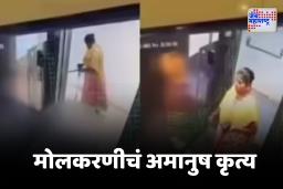 Bengluru Crime : क्रूरतेचा कळस ! लिफ्टमध्ये जाताच कुत्र्याच्या एका पिल्लाला आपटून मारलं, दुसरं भेदरलं आणि…, धक्कादायक व्हिडीओ समोर