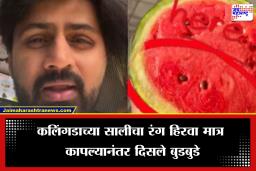 Shashank Ketkar Watermelon Video :  ‘कलिंगड कापल्यानंतर त्यातून निघाले बुडबुडे…’, शशांक केतकरने शेअर केला धक्कादायक व्हिडीओ, दाखवली सत्य परिस्थिती