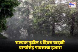 राज्यात हवामान बिघडणार; पुढील पाच दिवस वादळी वाऱ्यांसह पावसाचा इशारा