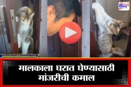 Viral Video: मालक चावी विसरला आणि चक्क मनीमाऊने उघडला दरवाजा; व्हायरल व्हिडिओने नेटकऱ्यांची जिंकली मनं
