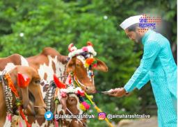 बैलपोळ्यासाठी बाजारपेठा सजल्या