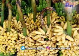 स्वाभिमानी शेतकरी संघटनेचे पिंडदान आंदोलन