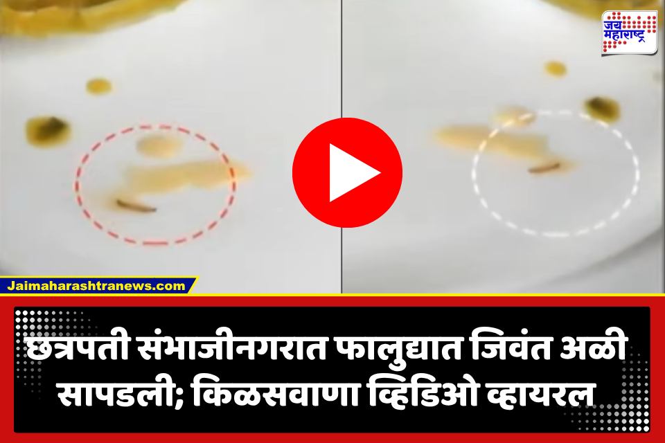 Chhatrapati Sambhajinagar: छत्रपती संभाजीनगरात किळसवाणा प्रकार! फालुद्यात चक्क जिवंत अळी; व्हिडिओ व्हायरल