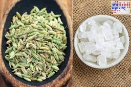 Digestion: जेवल्यानंतर लगेच हे 2 पदार्थ चावून खा; पचनसंस्था जलद काम करू लागेल आणि सकाळी उठताच पोटही होईल साफ
