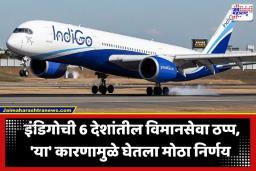 IndiGo International Flights Suspended: इंडिगोचा आंतरराष्ट्रीय प्रवाशांना मोठा झटका; ‘या’ 6 देशांतील उड्डाणे 3 महिन्यांसाठी रद्द