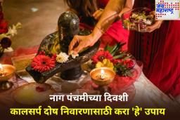 नाग पंचमीला शिवलिंगाला अर्पण करा ‘या’ 5 वस्तू;  कालसर्प दोषापासून मिळेल मुक्ती