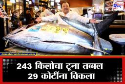 World Most Expensive Fish: एका माश्याची किंमत 29 कोटी! जपानमध्ये ब्लूफिन टूना लिलावाने मोडले सर्व रेकॉर्ड; हा मासा एवढा महाग का?
