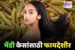 Okra Hair Benefit: भेंडी केसांना लावल्याने ‘हा’ फायदा होणार