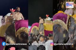 हत्तीवरुन मिरवणूक काढणं भोवलं; संयोजक आणि देवस्थानच्या अध्यक्षांवर गुन्हा दाखल