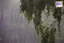 Maharashtra Rain Alert: राज्यात पावसाचा कहर; तुमच्या जिल्ह्याला कुठला अलर्ट आहे? जाणून घ्या
